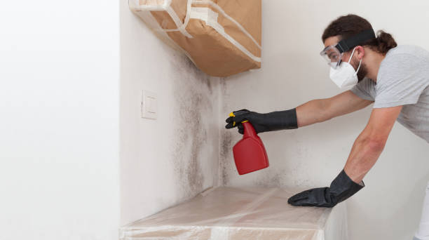 Professional Mold Remediation technician working in Harrisburg, IL