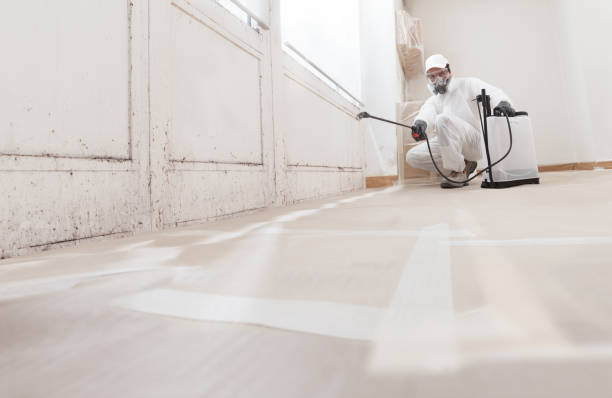 24/7 Emergency Mold Remediation experts in Harrisburg, IL