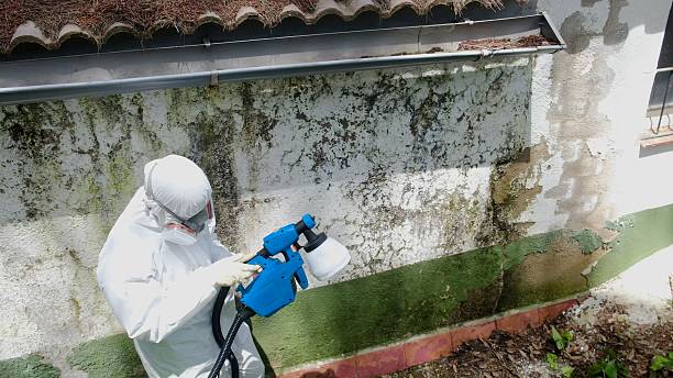 Top rated local Mold Remediation specialists in Harrisburg, IL
